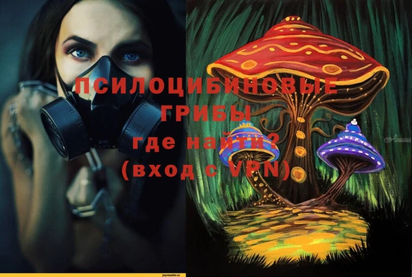 гидропоника Белокуриха