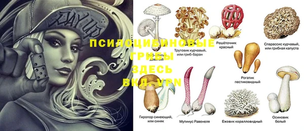 гидропоника Белокуриха