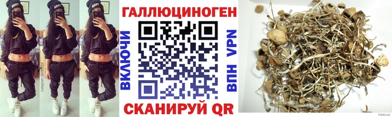 Псилоцибиновые грибы прущие грибы  Славгород 