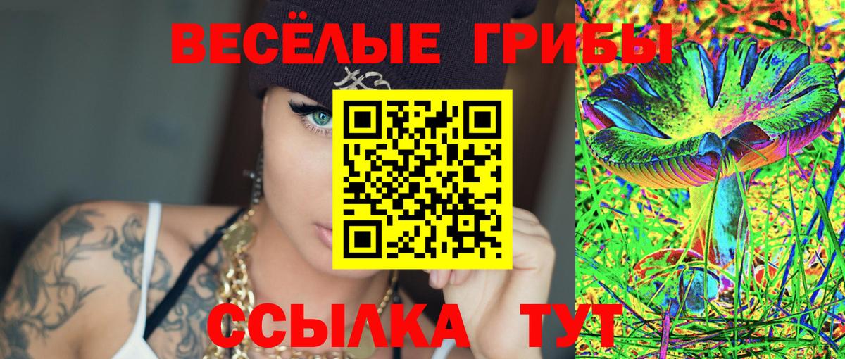 Псилоцибиновые грибы мухоморы Славгород