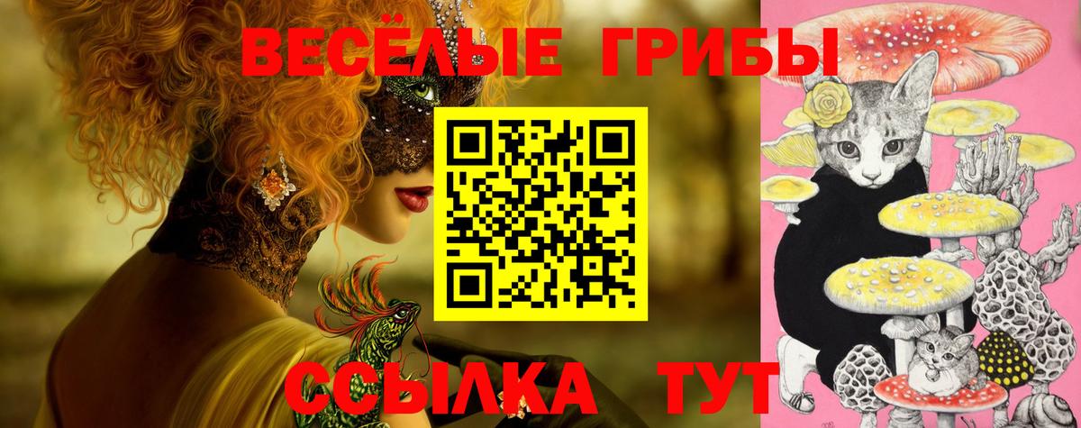 Славгород  Псилоцибиновые грибы Psilocybe  Вход с VPN  Галлюциногенные грибы мухоморы 