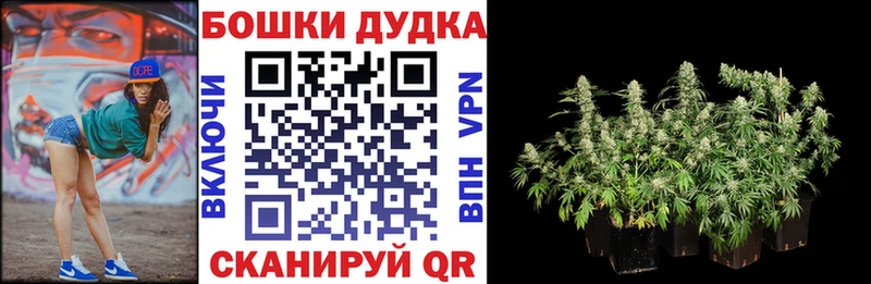 Марихуана план Славгород